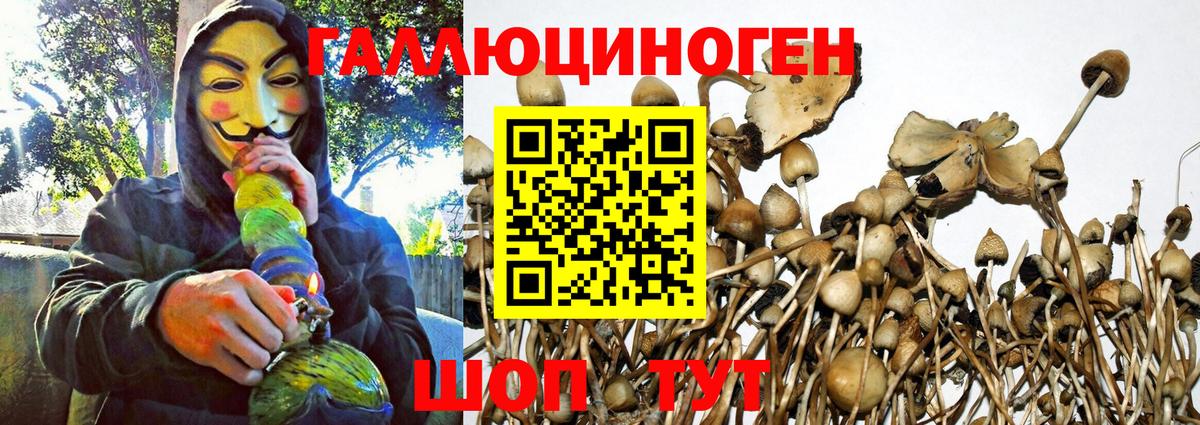 Ессентуки  Галлюциногенные грибы Cubensis  Вход с VPN  Галлюциногенные грибы Psilocybine cubensis 